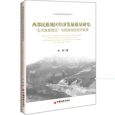 音像西部民族地区经济发展质量研究向琳