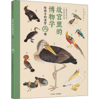 音像故宫里的博物学 给孩子的清宫鸟谱小海