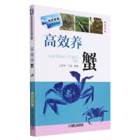 音像高效养蟹编者:占家智//羊茜|责编:郎峰//高伟//李俊慧