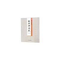 音像启笛书法经典作品选(之二)启笛 书写