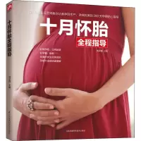 音像十月怀胎全程指导子 编