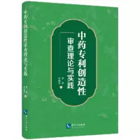 音像专利创造审论与实践李昕,宋晓亭 著