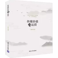 音像传媒价值与运营王树柏