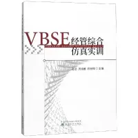 音像VBSE经管综合实训石洁 周诗雅 陈振祥
