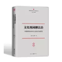 音像文化视阈聊法治:中国特色社会主义法治文化研究王寿林张美萍