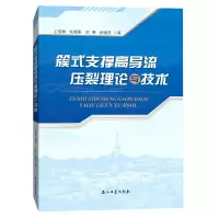 音像簇式支撑高导流压裂理论与技术王增林 等