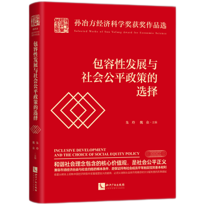 音像包容发展与社会公平政策的选择朱玲、魏众