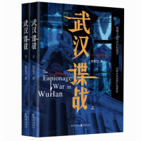 音像武汉谍战(上下)孙志卫