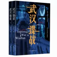 音像武汉谍战(上下)孙志卫