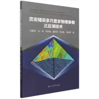 音像页岩储层多尺度多物理参数正反演技术刘喜武 等