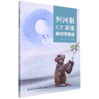 音像恒河猴CT影像解剖学图谱曹华,张正绵主编