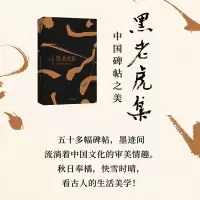 音像黑老虎集胡竹峰