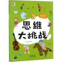 音像专注力训练集结号 思维大挑战红狐童书 编
