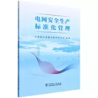 音像电网安全生产标准化管理中国南方电网有限责任公司