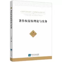 音像著作权侵权理论与实务丁文杰