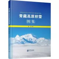 音像青藏高原积雪图集除多