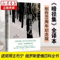 音像暗径集(全译本)(俄罗斯)伊万·布宁