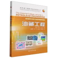 音像油藏工程/国外油气勘探开发新进展丛书(英)马丁·布伦特