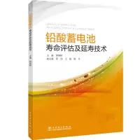 音像铅酸蓄电池寿命评估及延寿技术钟国彬