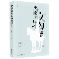 音像中华流失文物迷踪1牛宪锋 著 ;