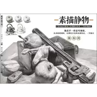 音像素描静物欧昌健