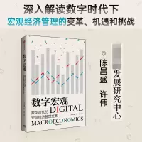 音像数字宏观:数字时代的宏观经济管理变革陈昌盛,许伟