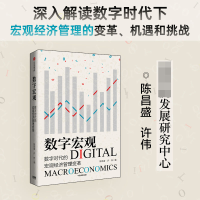 音像数字宏观:数字时代的宏观经济管理变革陈昌盛,许伟