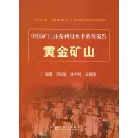 音像黄金矿山冯安生 许大纯 吕振福