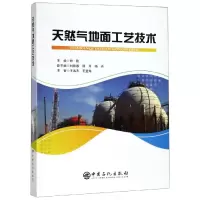 音像天然气地面工艺技术主编 郑欣