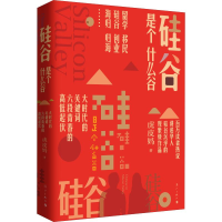 音像硅谷是个什么谷虎皮妈