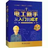 音像电工新手从入门到成才(第2版)吴江