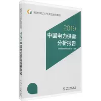音像中国电力供需分析报告 2019国网能源研究院有限公司