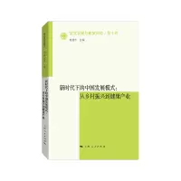 音像新时代下的中国发展模式赵德余 主编