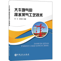 音像大牛地气田排水采气工艺技术何云,吴伟然
