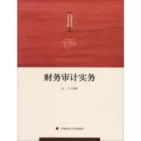音像财务审计实务赵华