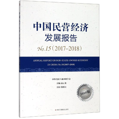 音像(2017-2018)中国民营经济发展报告N15高云龙