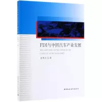 音像FDI与中汽车业发展赵果庆