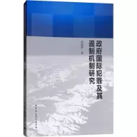 音像国际犯罪及其遏制机制研究钱晓萍