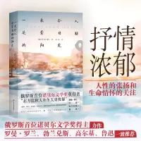 音像一束令人头晕目眩的阳光(俄)伊·阿·蒲宁