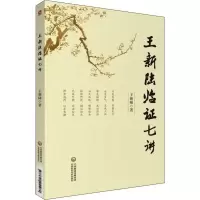 音像王新陆临七讲王新陆