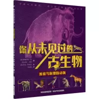 音像渡渡鸟时期的动物(英)费利西娅·劳,(英)格里·贝利