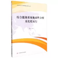 音像综合能源系统脆弱分析及优化运行潘华