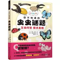音像你不知道的虫虫谜题/奇妙图书馆(日)卡萝·皮诺著