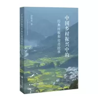 音像中国乡村振兴中的经典样板和传奇故事游祖勇