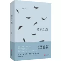 音像倾车之恋火锅