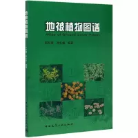 音像地被植物图谱编者:阮积惠//徐礼根|责编:白玉美//吴宇江