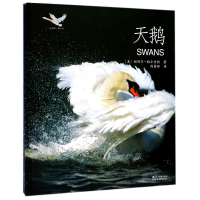 音像天鹅(精)/动物小百科妮科尔·赫尔吉特