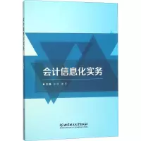 音像会计信息化实务张凯,谢芳 编