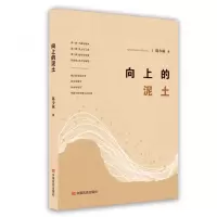 音像向上的泥土陈少林 著