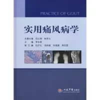 音像实用痛风病学李长贵 编